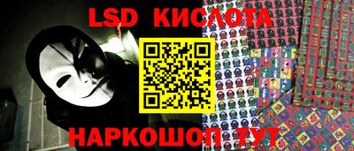 гашик Новокубанск