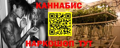 эйфоретик Новозыбков